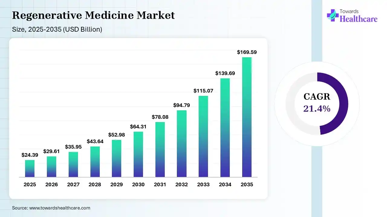Regenerative Medicine Market Size 2025 - 2035 (USD Billion/Million) Regenerative Medicine Market Size is USD 29.61 Billion in 2026.