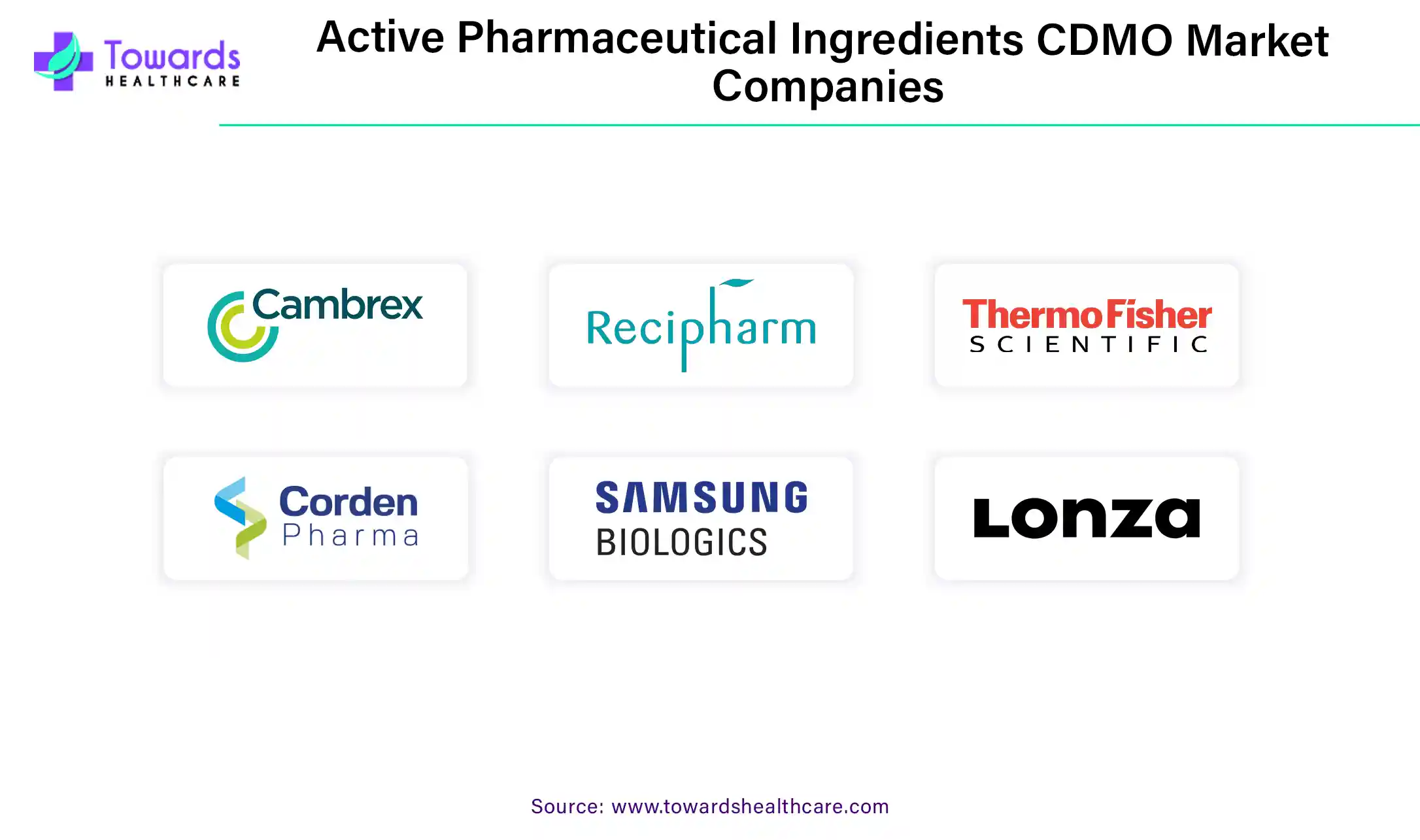 Active Pharmaceutical Ingredients CDMO Market Companies