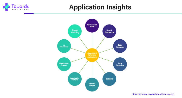 Application Insights in Organoids and Spheroids Market