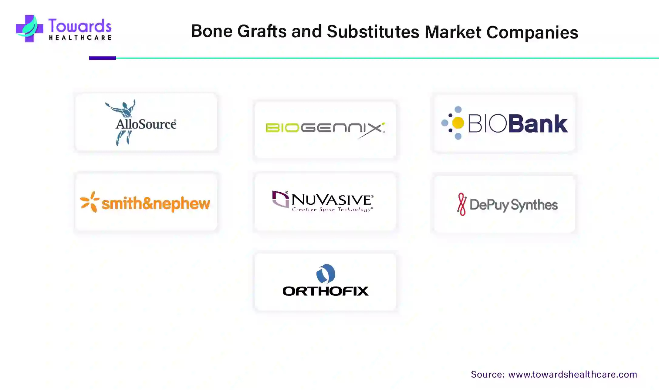 Bone Grafts and Substitutes Market Companies