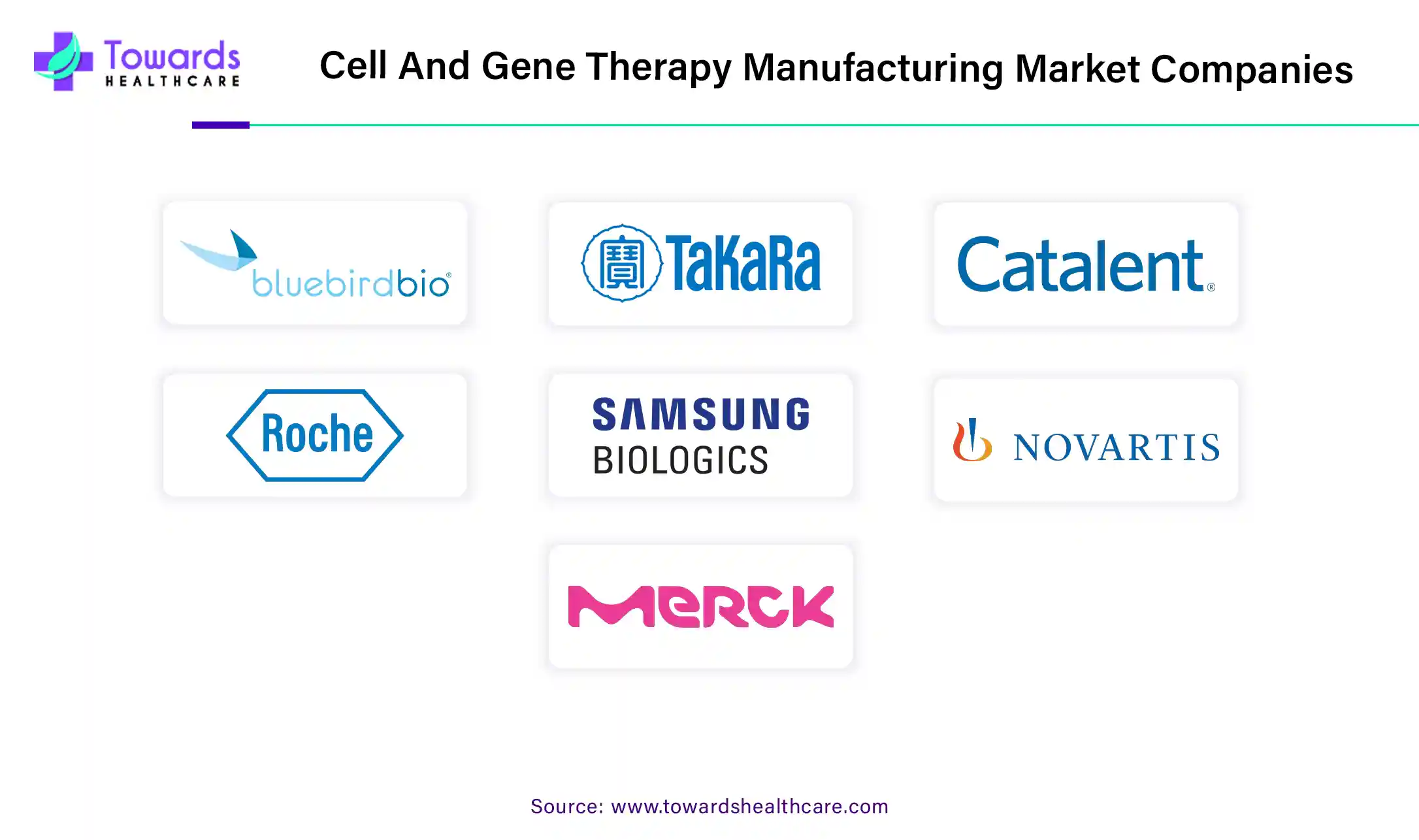 Cell and Gene Therapy Manufacturing Market Companies