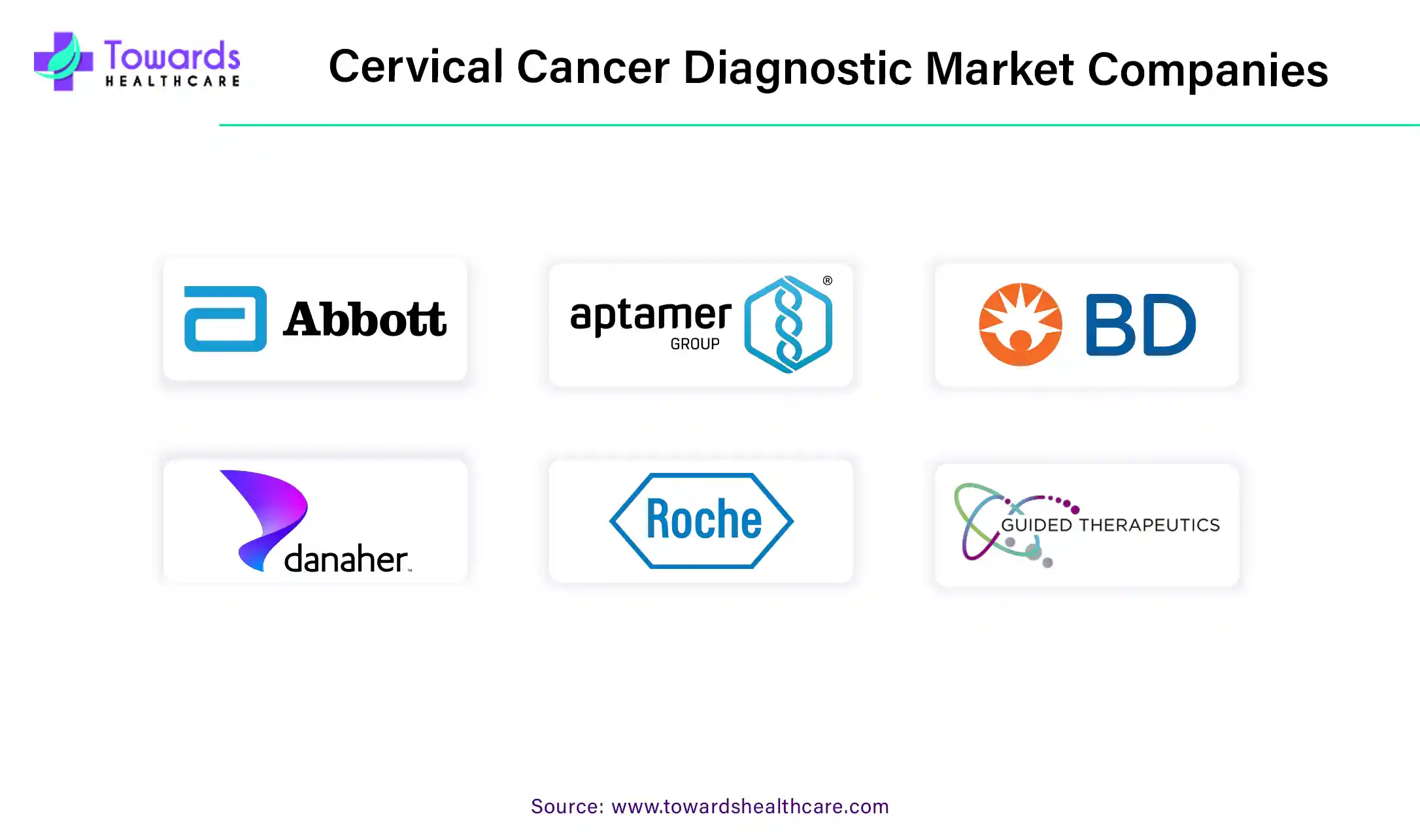 Cervical Cancer Diagnostic Market Companies