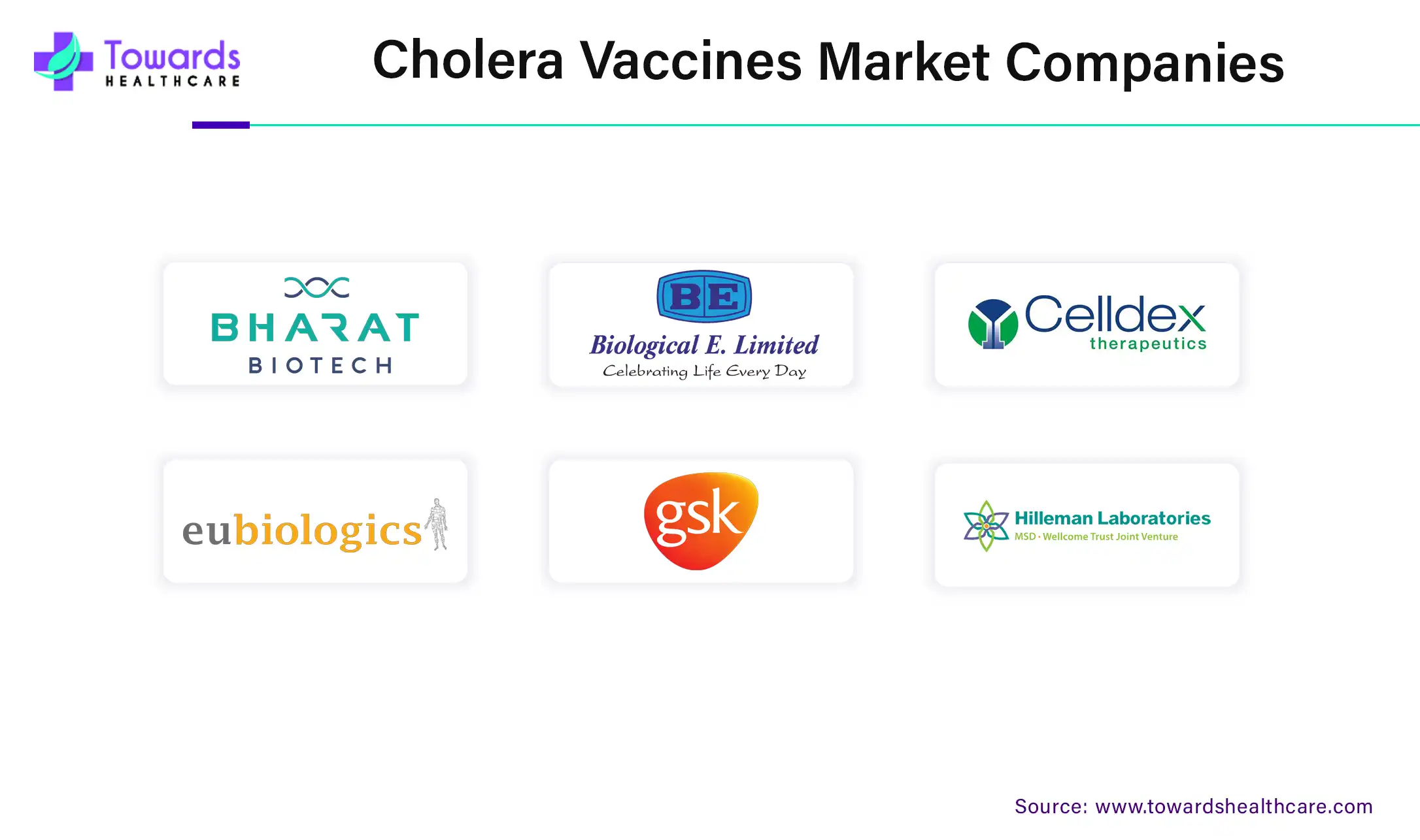 Cholera Vaccines Market Companies