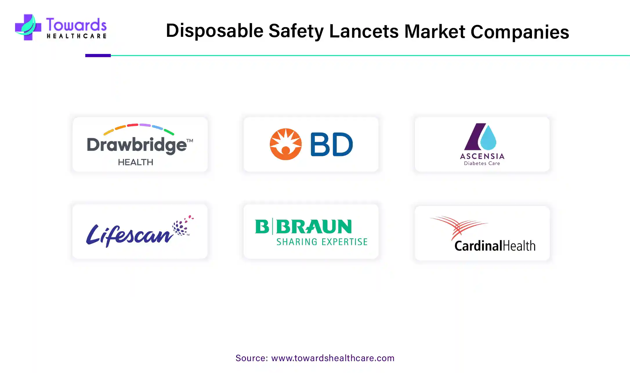 Disposable Safety Lancets Market Companies