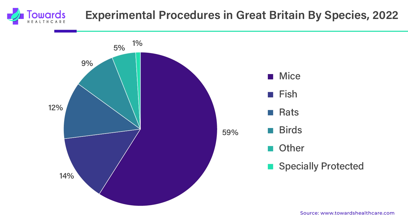 Experimental Procedures in Great Britain By Species, 2022