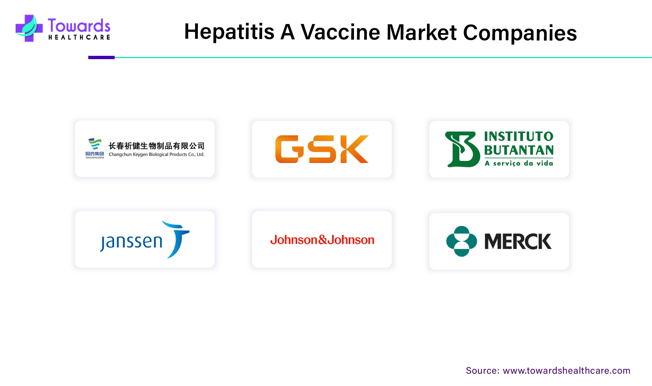 Hepatitis A Vaccine Market Companies