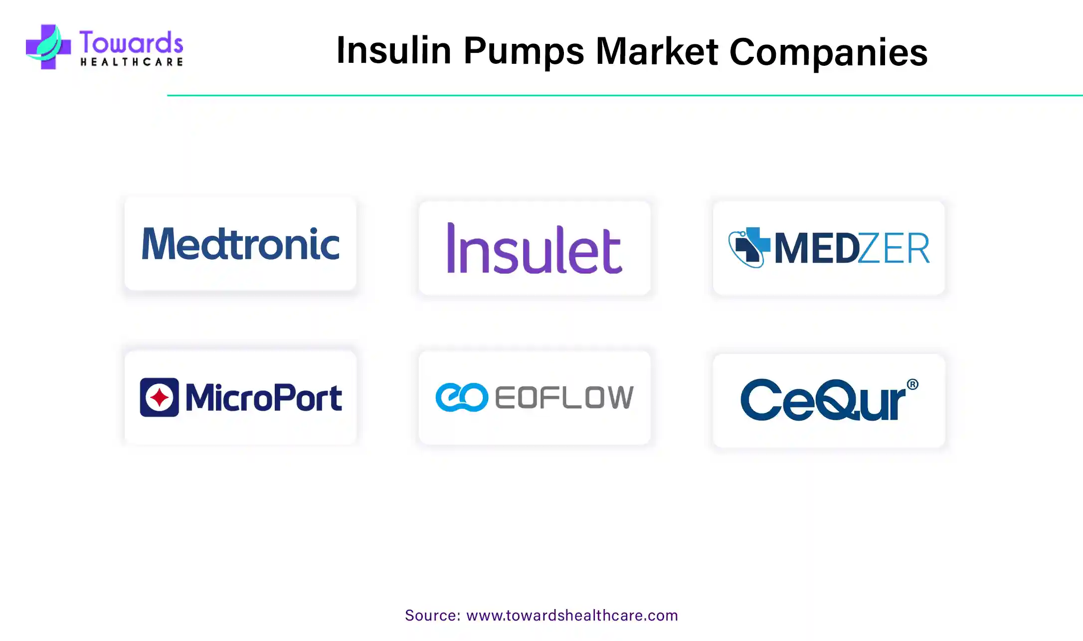 Insulin Pump Market Companies