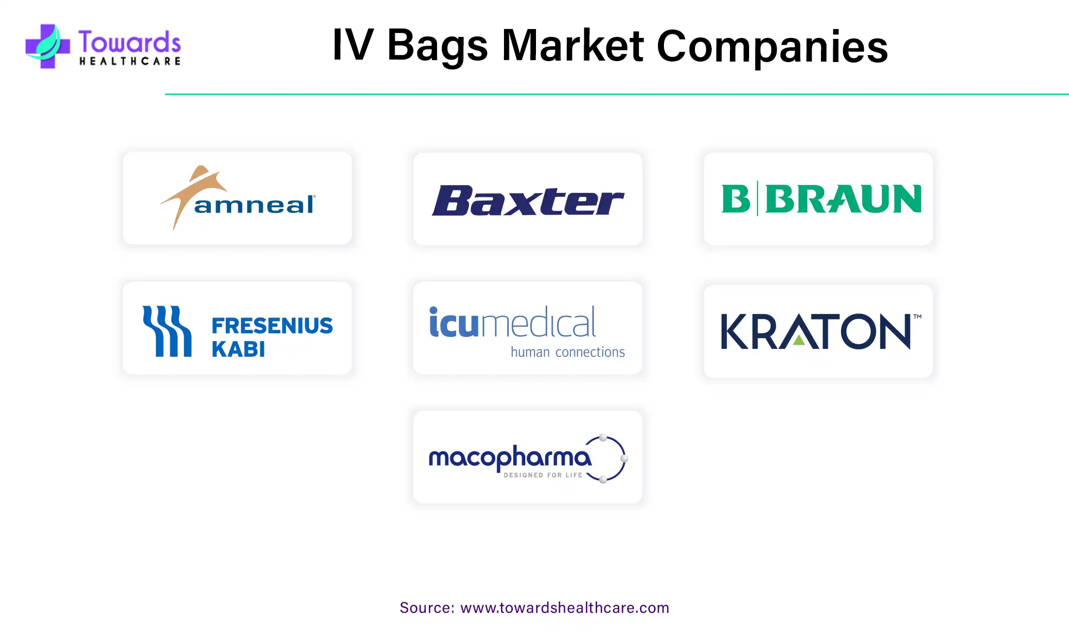 IV Bags Market Companies