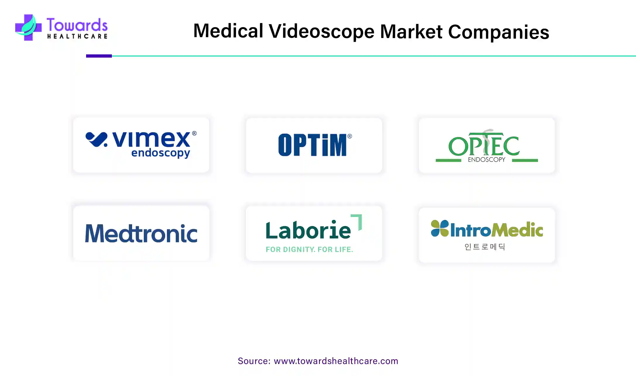 Medical Videoscope Market Companies