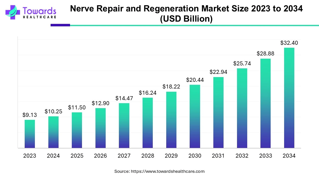 Nerve Repair and Regeneration Market Size 2023 - 2034