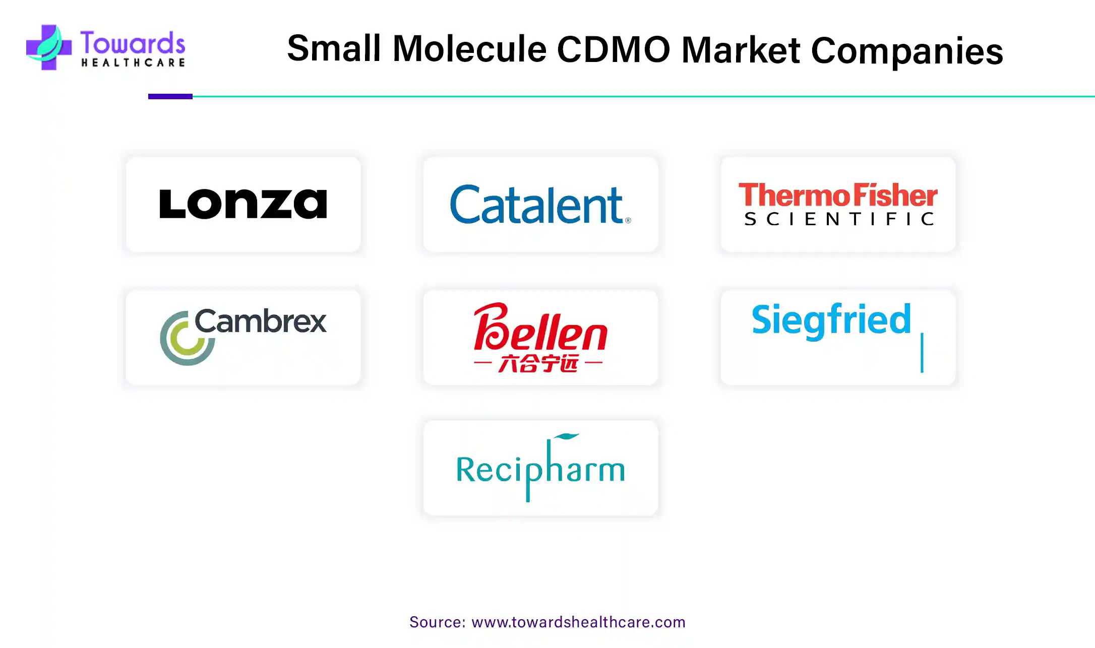 Small Molecule CDMO Market Companies