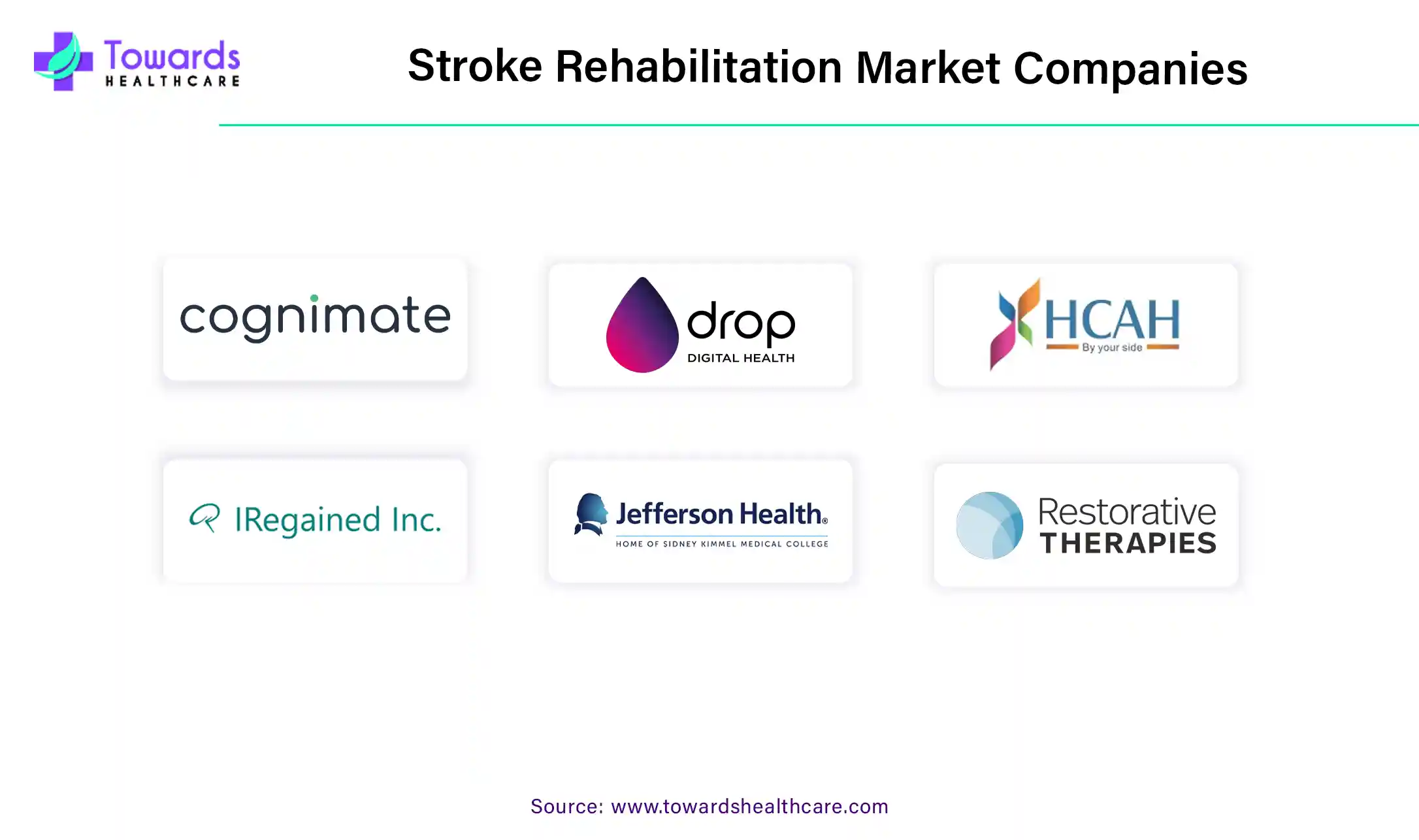 Stroke Rehabilitation Market Companies