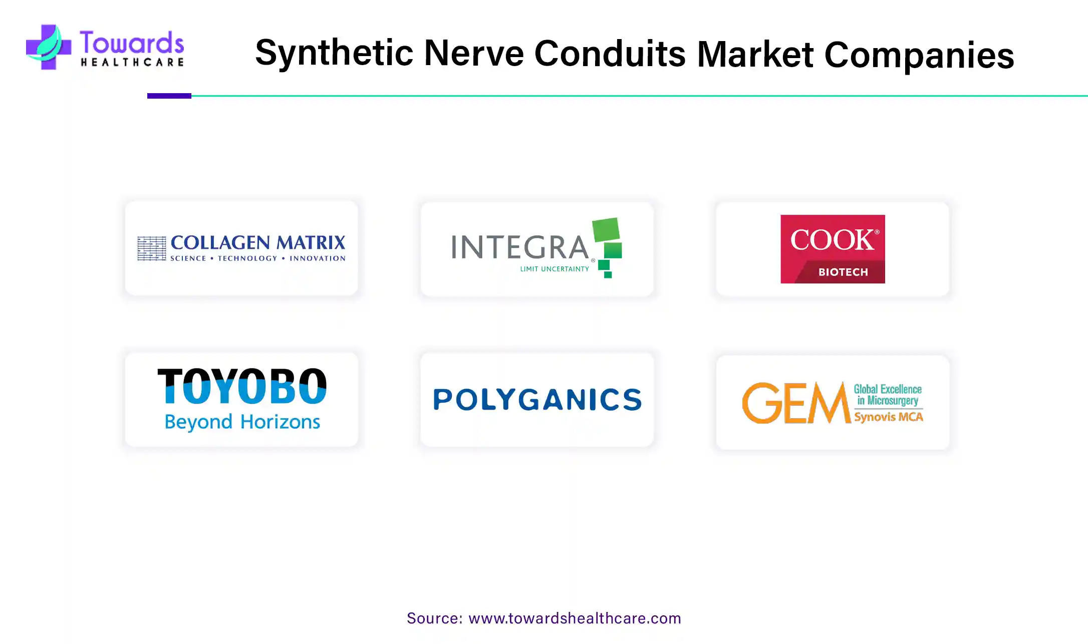 Synthetic Nerve Conduits Market Companies