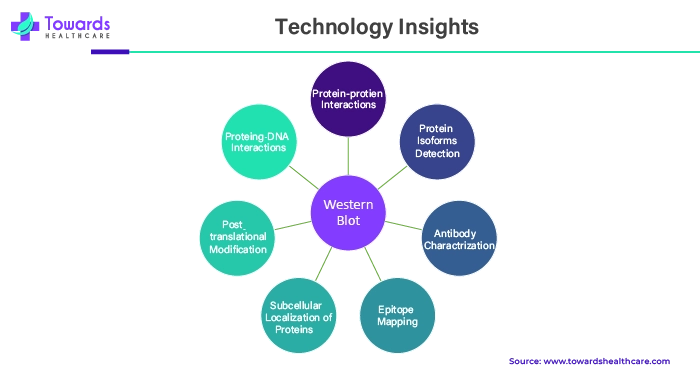 Technology Insights in Research Antibodies Market