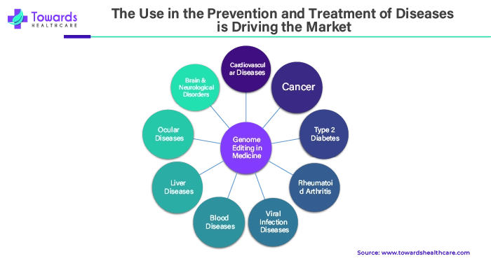 The Use in the Prevention and Treatment of Diseases is Driving the Market