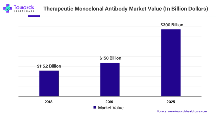 Therapeutic Monoclonal Antibody Market Value (In Billion Dollars)