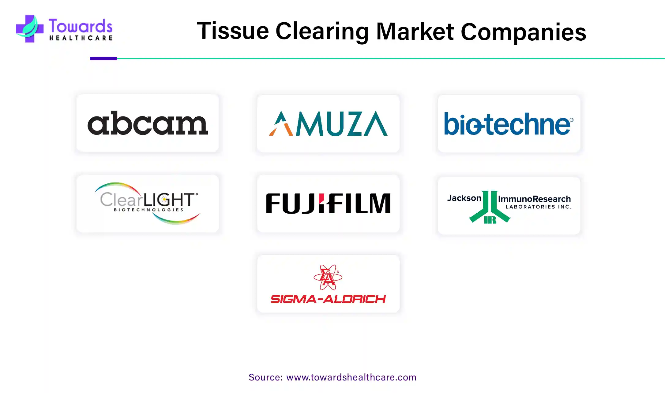 Tissue Clearing Market Companies